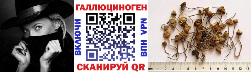 Галлюциногенные грибы Magic Shrooms  хочу   Малмыж 